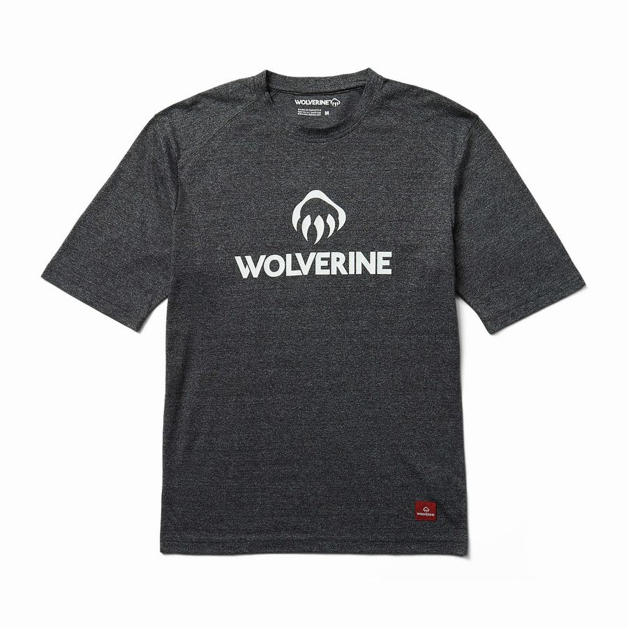 Wolverine Edge Graphic Short Sleeve Wicking Tee Póló Férfi Fekete | PBD7463US