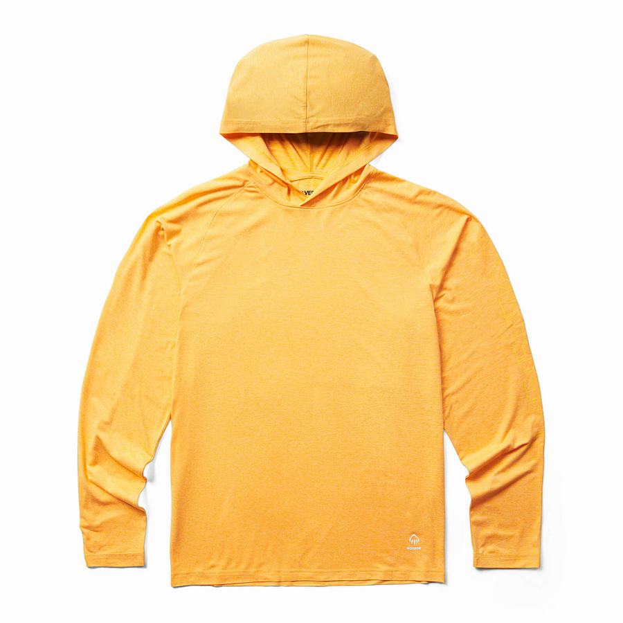 Wolverine Sun-Stop Pullover Kapucnis Pulóver Férfi Sárga | OAX62100AW